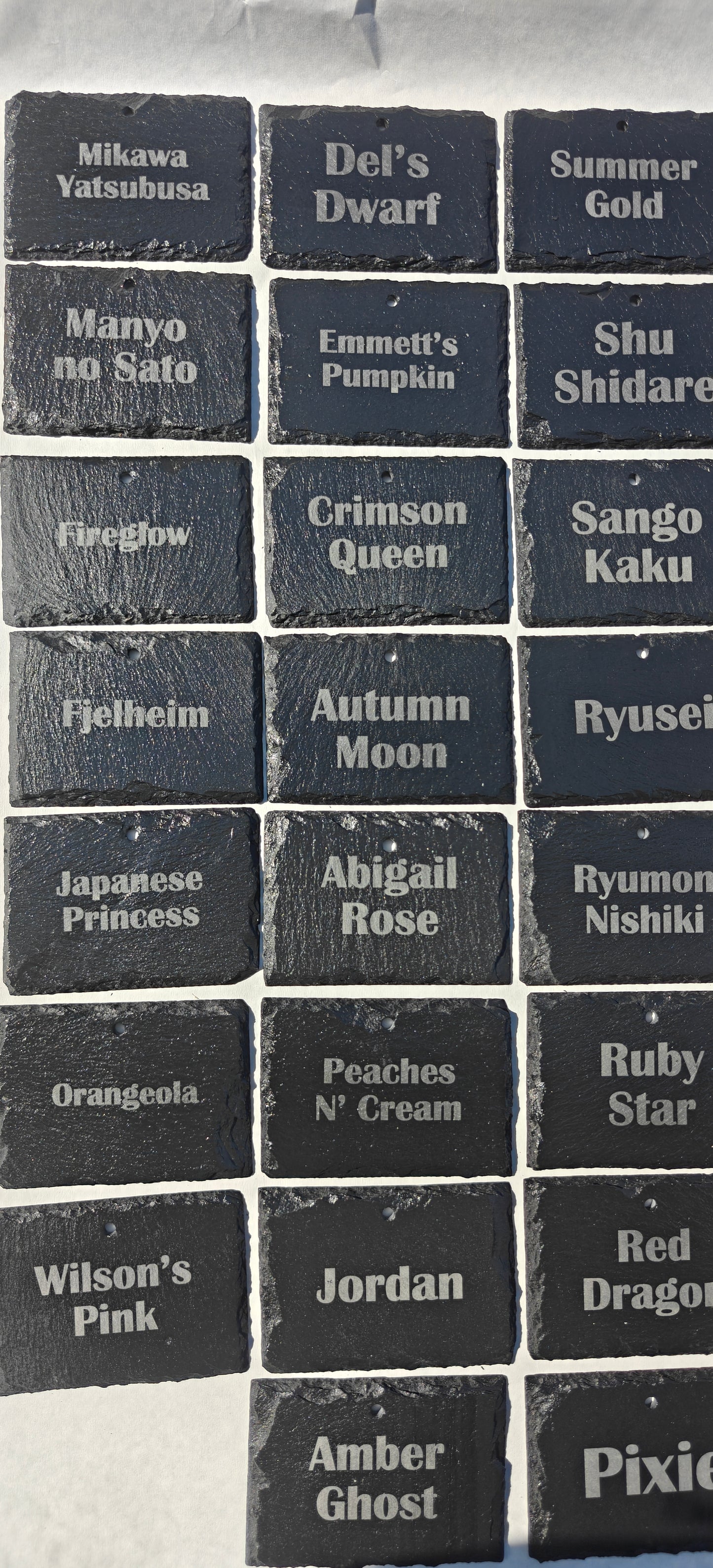 Slate plant markers