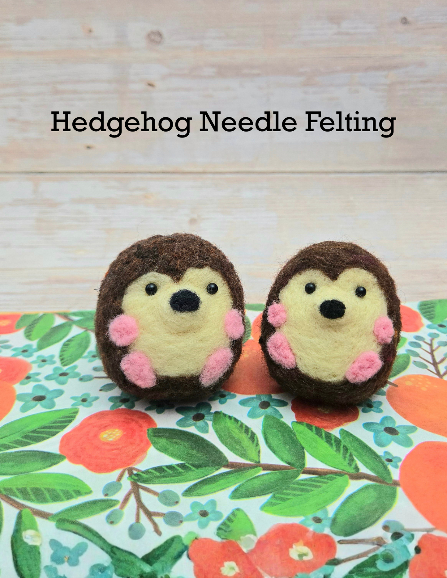 Hedgehog Needle Felting May 18th @ Sage Brewing