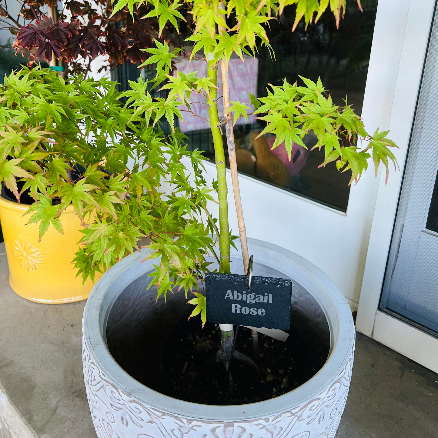 Slate plant markers